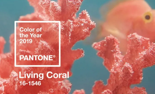 2023 Pantone 代表色公布了！是温暖又有活力的【Living Coral 活珊瑚橘】– 跟着Pantone 一起留住大自然中的美